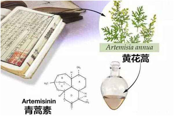 开云手机在线登陆入口：向中医药看齐，与世界共享中医药文化(图1)